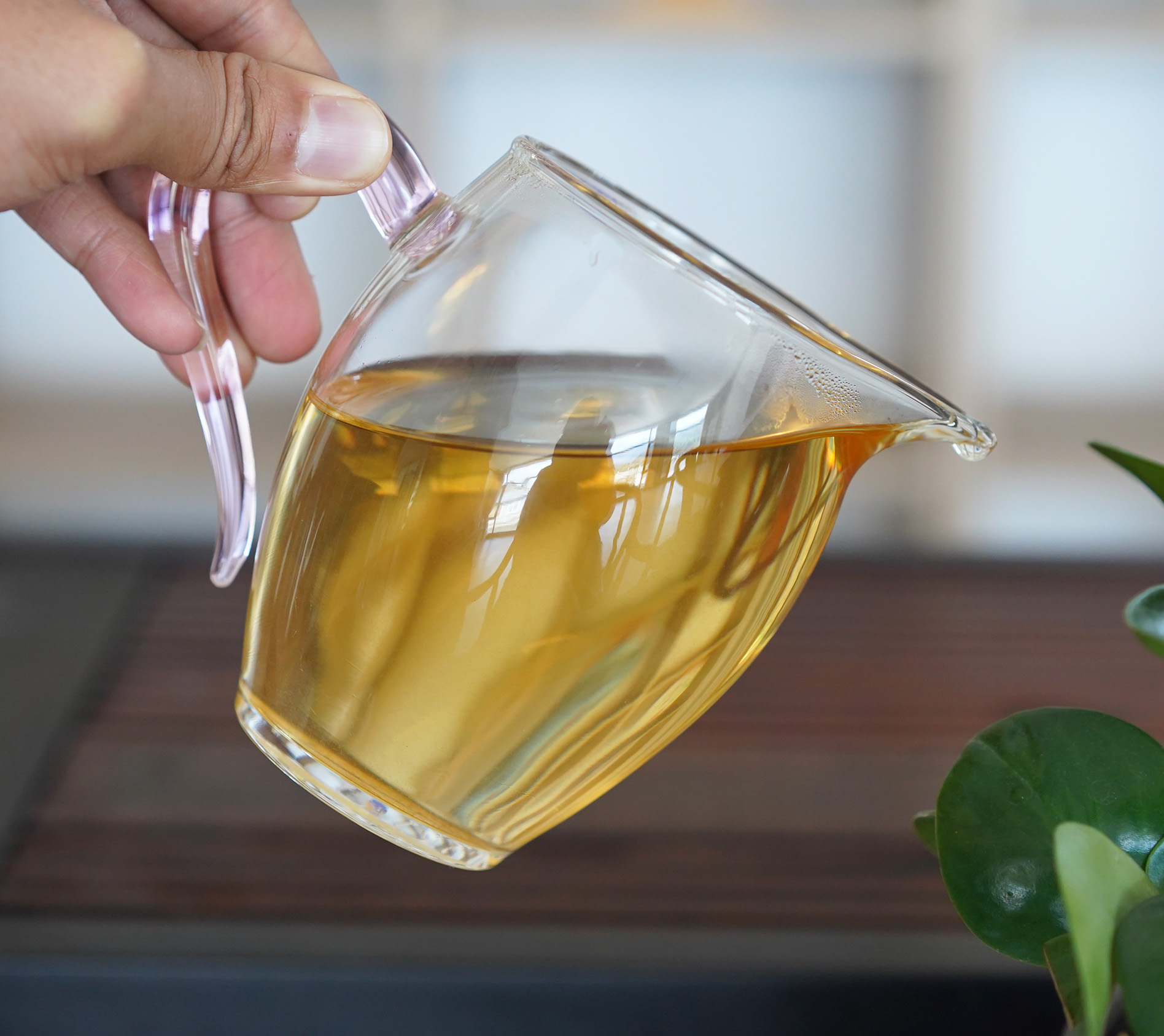 塾香古茶/2018年冰島古樹(shù)茶