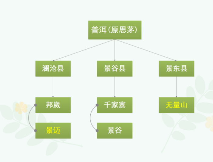 普洱地區茶區劃分