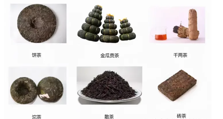 普洱茶形狀