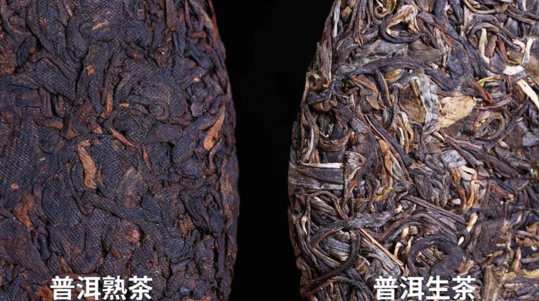 如何區分生熟普洱茶