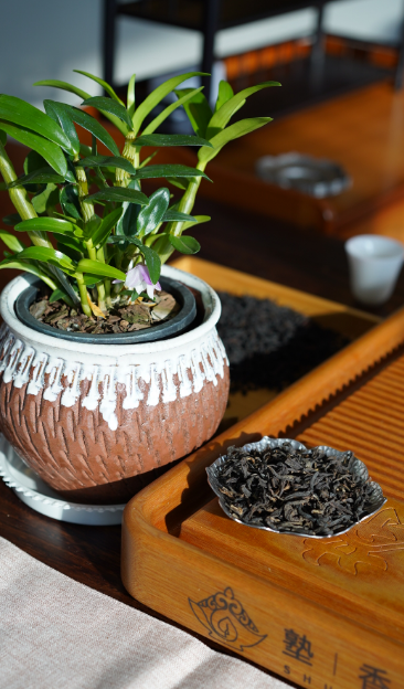 泡普洱茶的茶具要求及沖泡條件