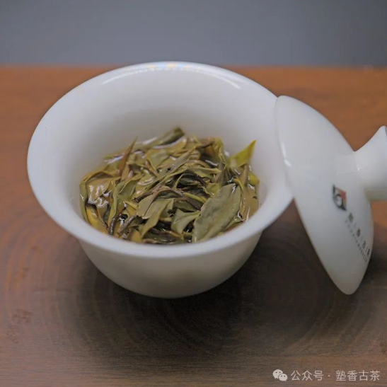 白茶，煮著(zhù)喝還是泡著(zhù)喝，哪個(gè)更好？