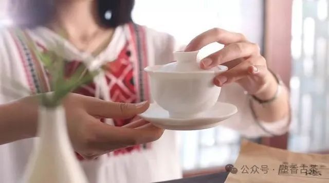 新生茶的泡法