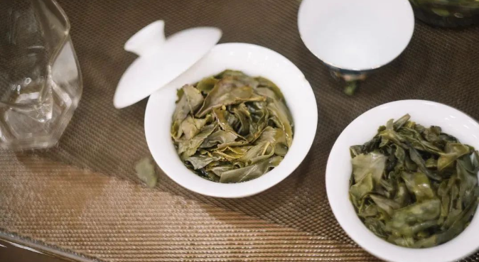 為什么有些茶葉需要茶梗