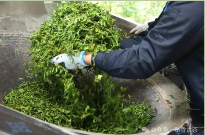 手工茶和機制茶那個(gè)更好