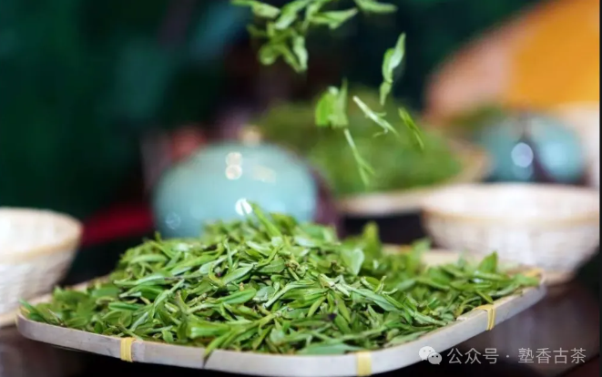 春茶的營(yíng)養有多高？