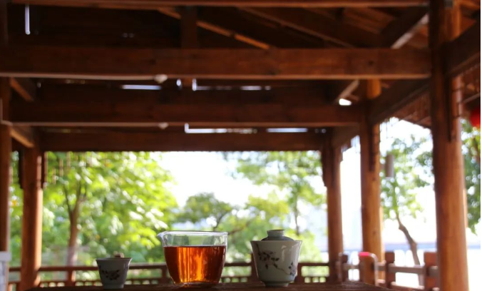 各類(lèi)茶葉的功效大全（建議收藏）