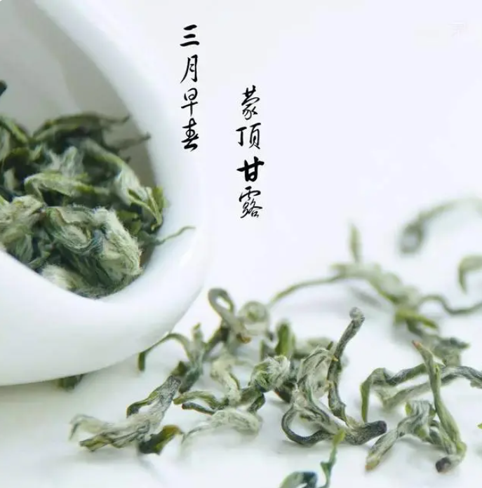 蘇軾筆下的茶詩(shī)