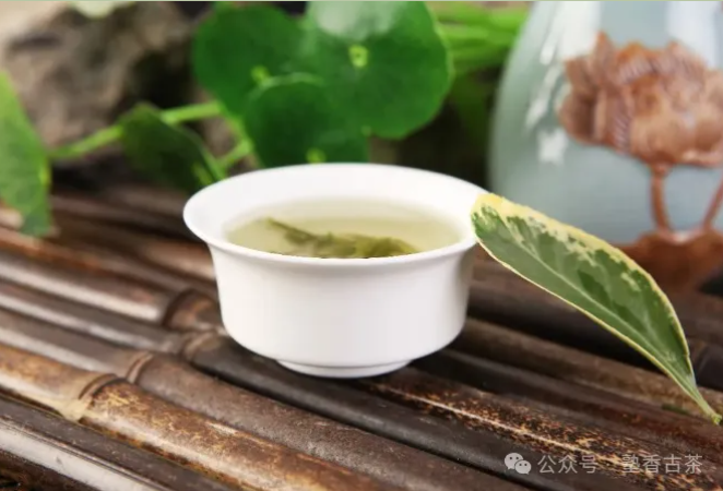 如何正確飲茶