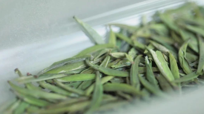 茶的"五味"從何而來(lái)？