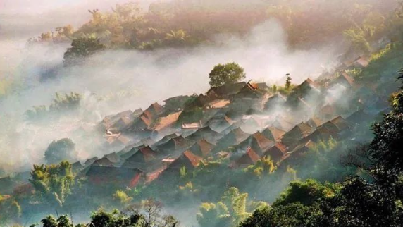 為什么高山云霧對茶尤為重要?。?！