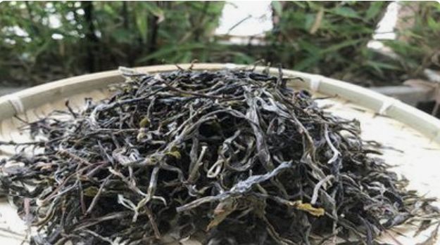 探秘昔歸古茶，品味五款經(jīng)典韻味