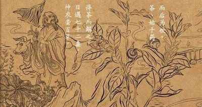 茶韻流芳千年遠，香飄四海醉人間